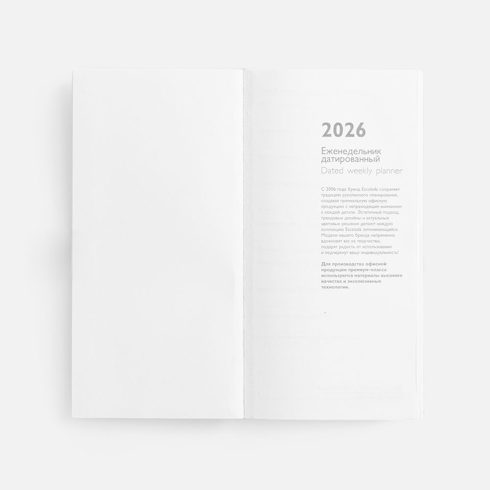 Еженедельник Baza, датированный, красный — изображение 7