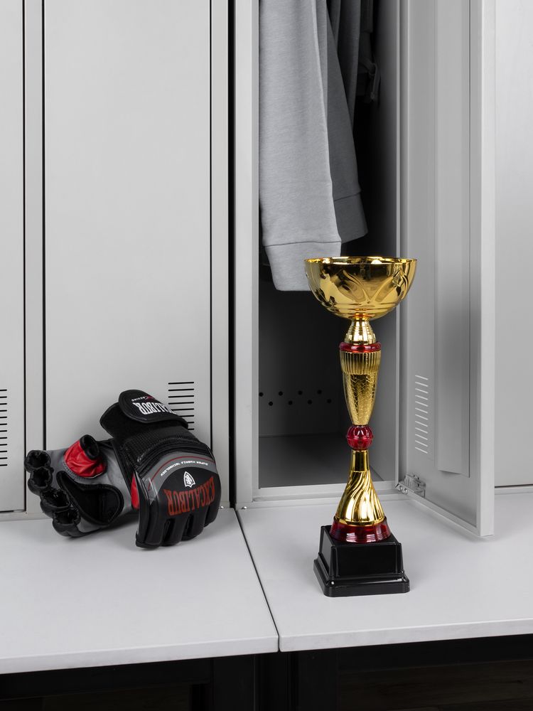 Кубок Awardee, средний, красный — изображение 5