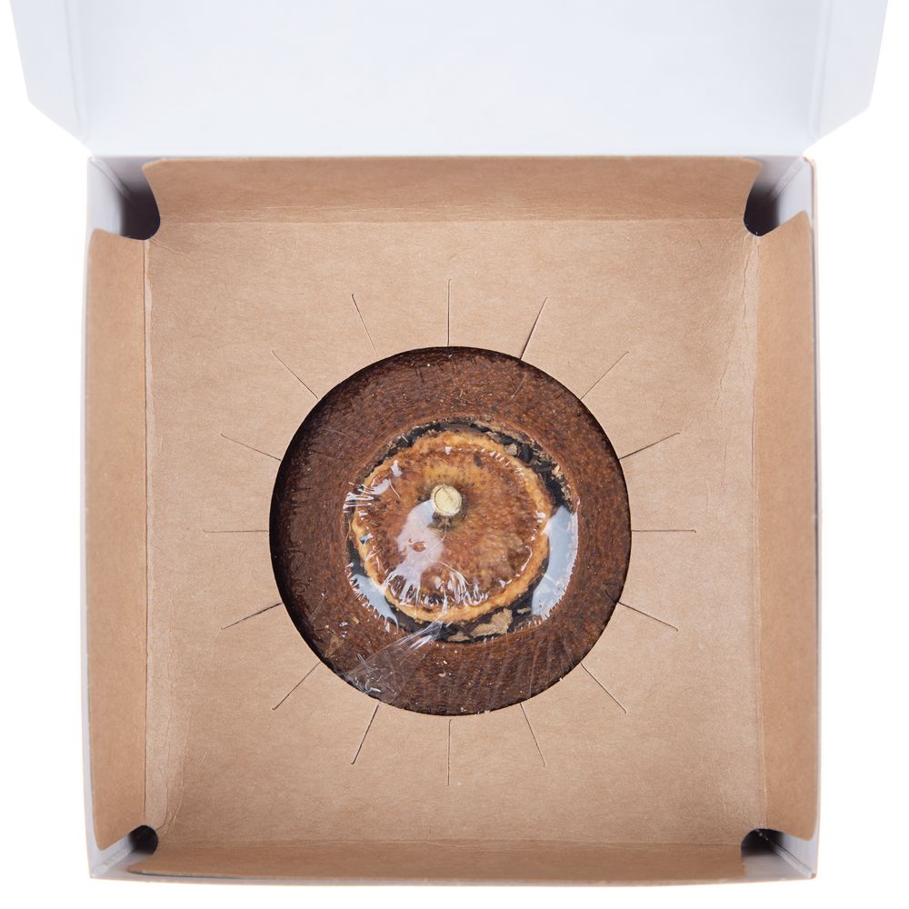 Черный чай Citrus в апельсине с маслом лайма — изображение 3