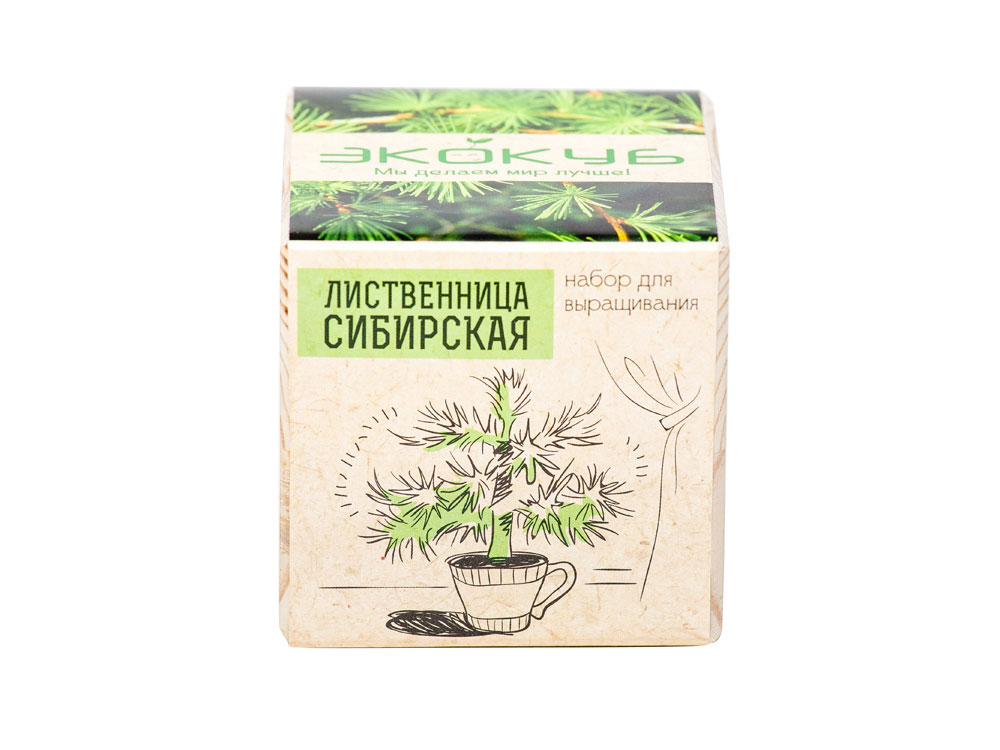 Набор для выращивания Экокуб Classic Лиственница Сибирская — изображение 3