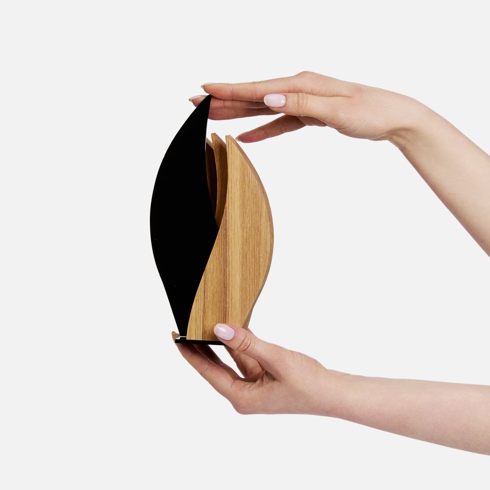 Стела Fame Flame — изображение 3