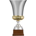 Кубок Erfolg, серебристый