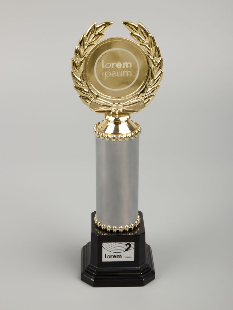 Стела EnterPrize, средняя, серебристая — изображение 2