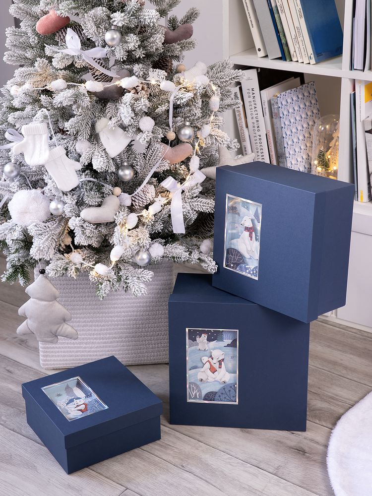 Коробка The Blue Bear, M — изображение 3