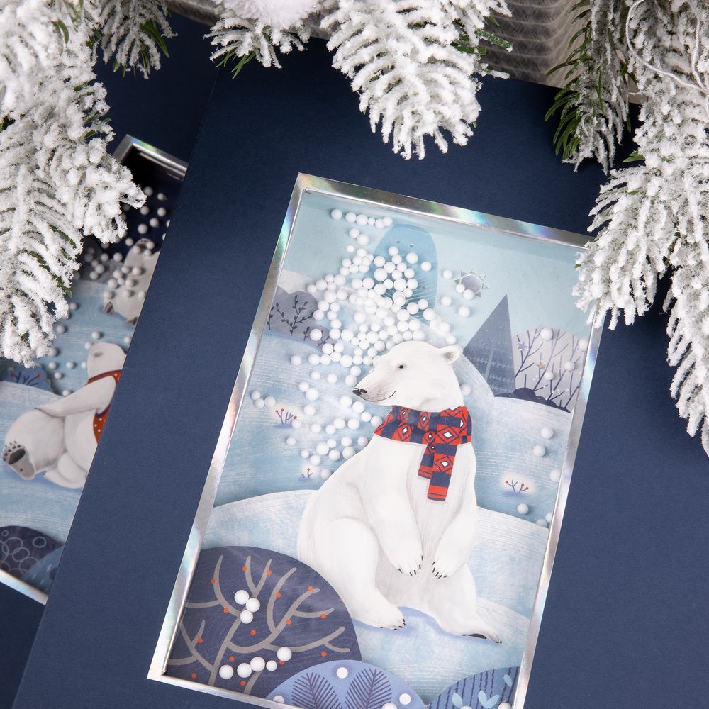 Коробка The Blue Bear, M — изображение 4