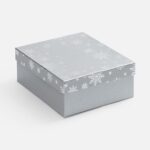 Коробка Wintry, серебристая