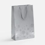 Пакет Wintry, серебристый