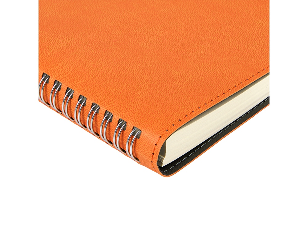 Ежедневник А5 Tintoretto, оранжевый — изображение 2