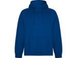 Толстовка с капюшоном Vinson, королевский синий