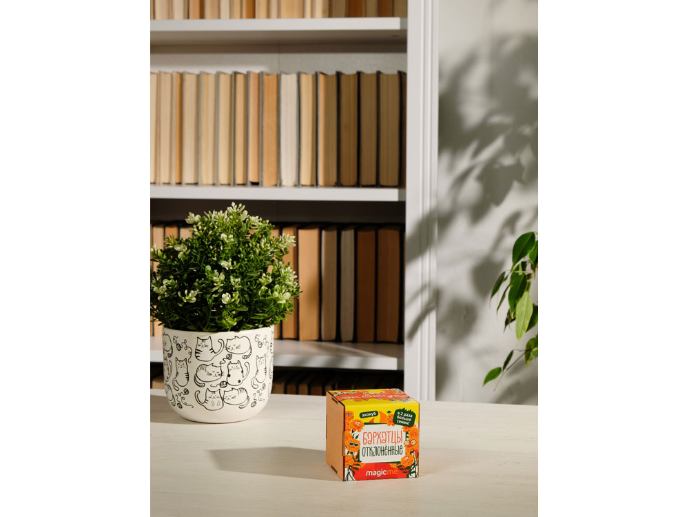 Набор для выращивания Экокуб Magicme Бархатцы — изображение 5