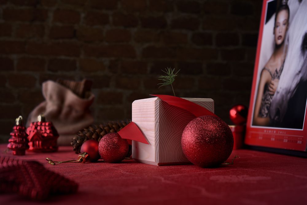 Набор для выращивания «Экокуб», ель голубая — изображение 4