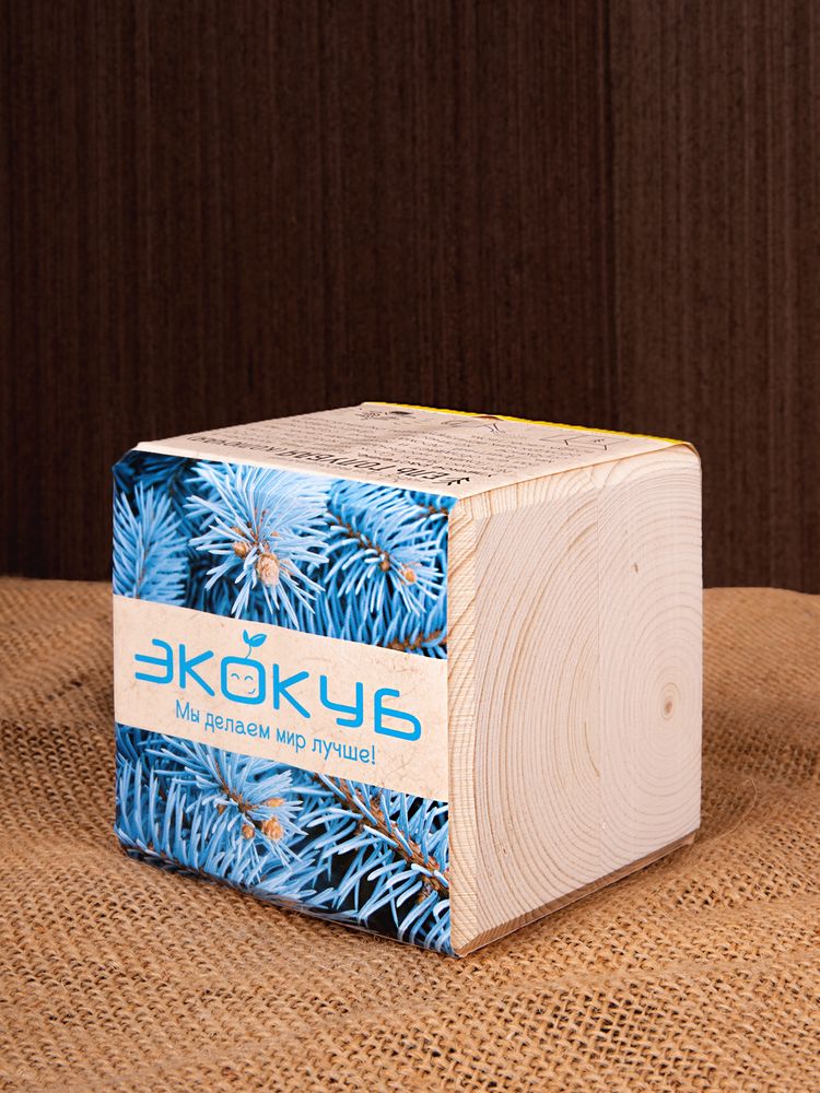 Набор для выращивания «Экокуб», ель голубая — изображение 8