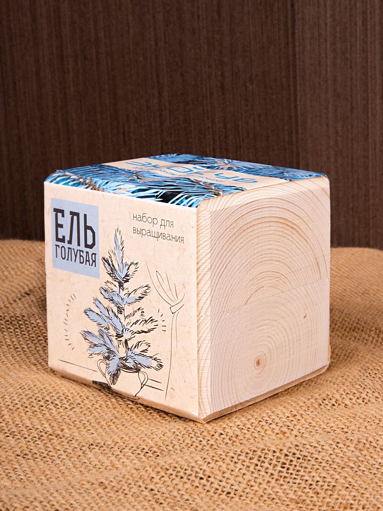 Набор для выращивания «Экокуб», ель голубая — изображение 9
