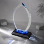 Награда Flame
