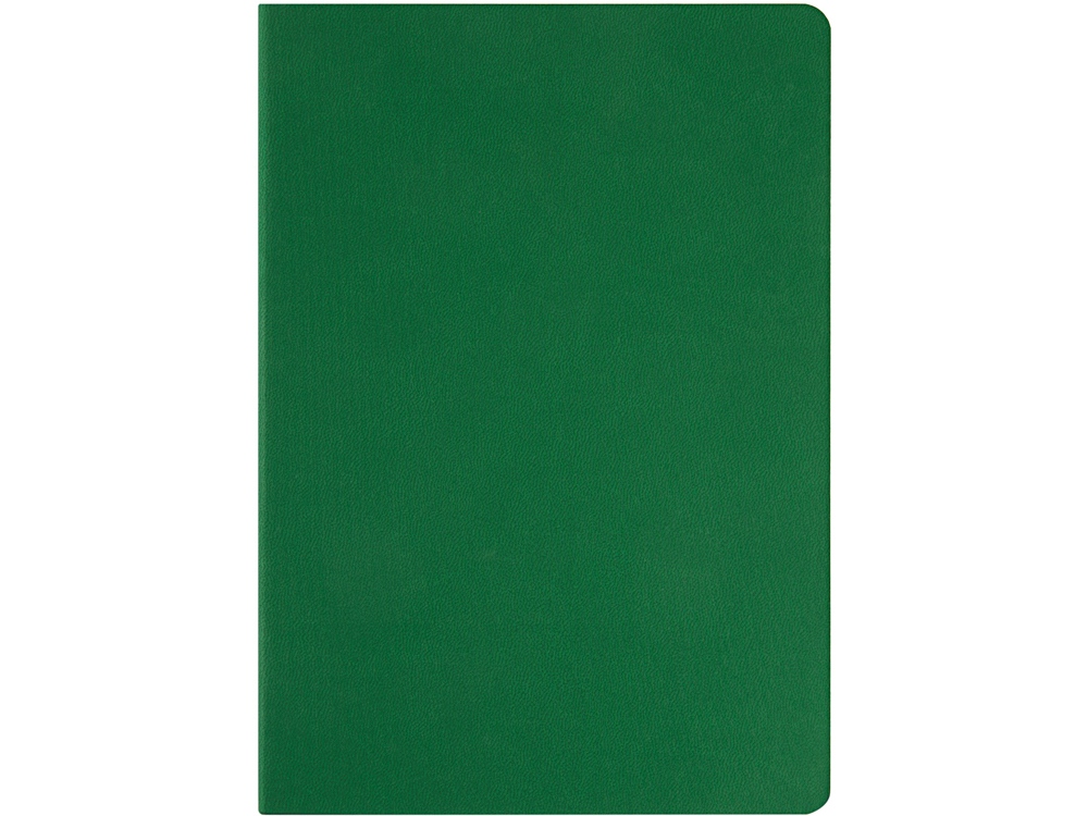 Ежедневник недатированный А5 Megapolis Color Flex, зеленый — изображение 4