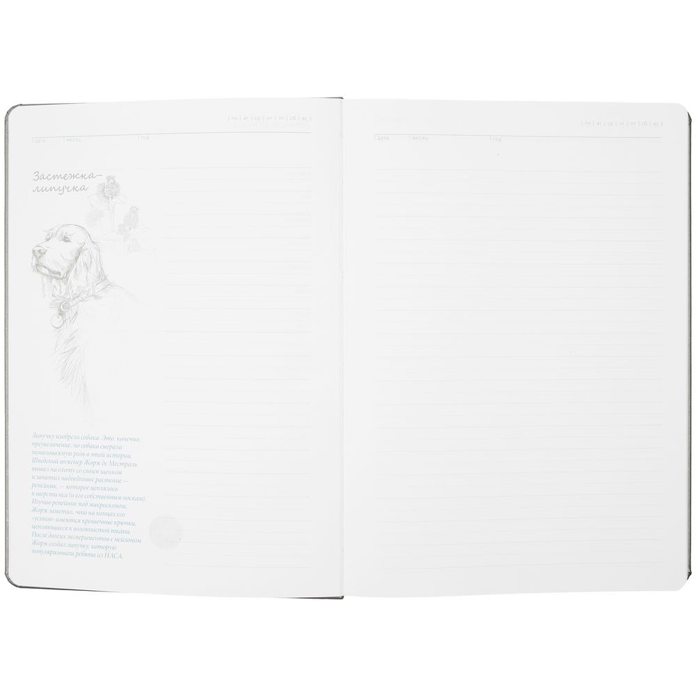 Ежедневник «История изобретений», недатированный, серый — изображение 7