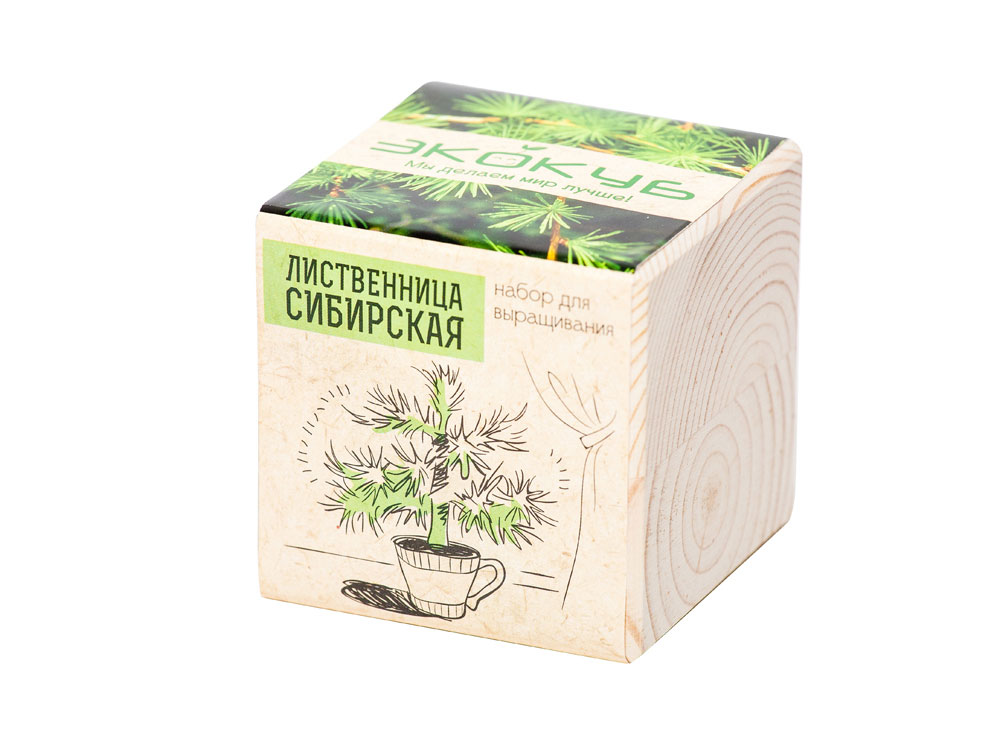 Набор для выращивания Экокуб Classic Лиственница Сибирская — изображение 2