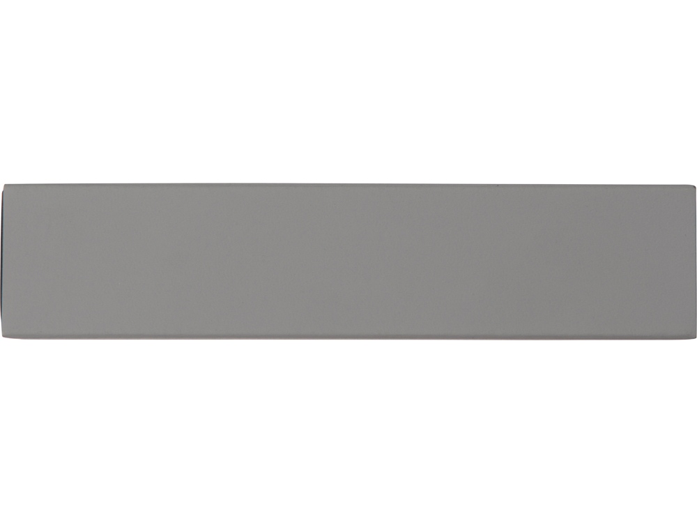 Футляр для ручки Real, серый (Р) — изображение 3