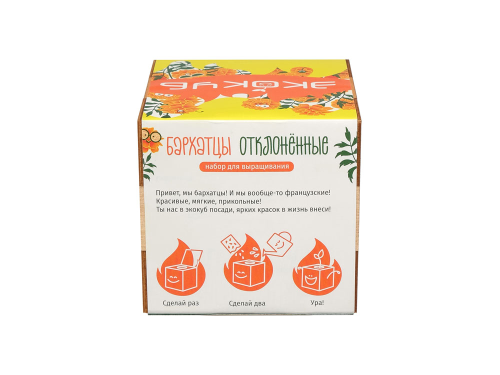 Набор для выращивания Экокуб Magicme Бархатцы — изображение 4