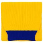 Шарф Snappy, желтый с синим