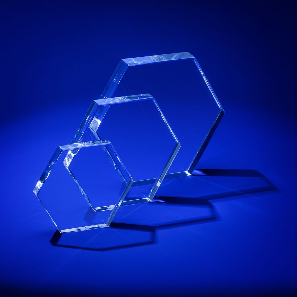 Награда Bee, средняя — изображение 3