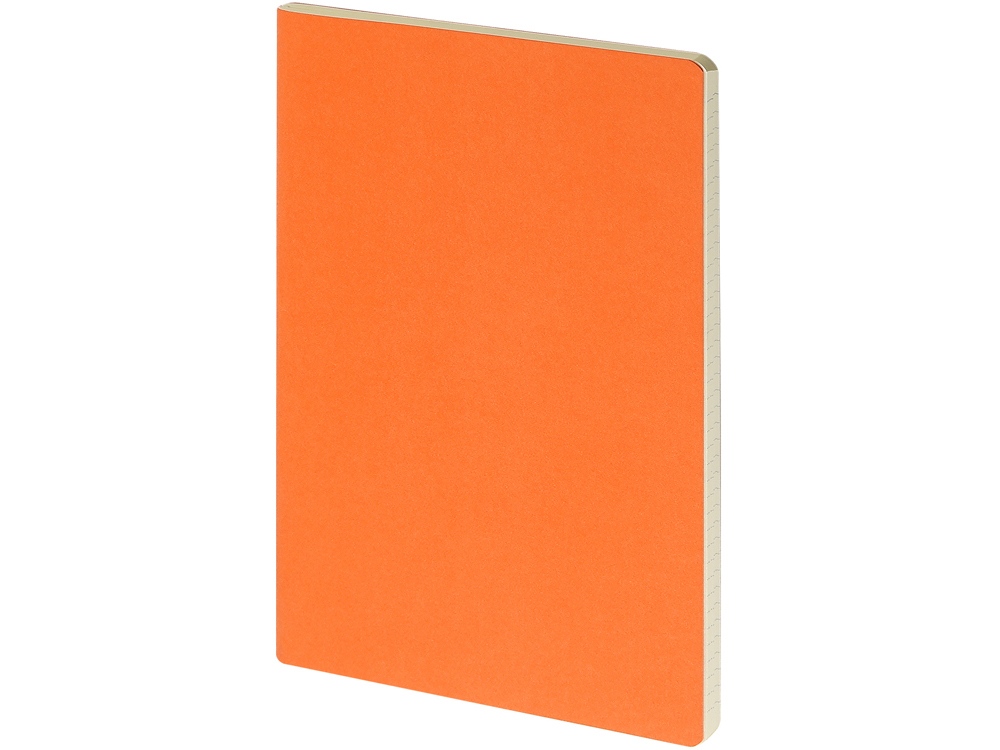 Бизнес-тетрадь А4 Pragmatic, 40л., клетка, оранжевый