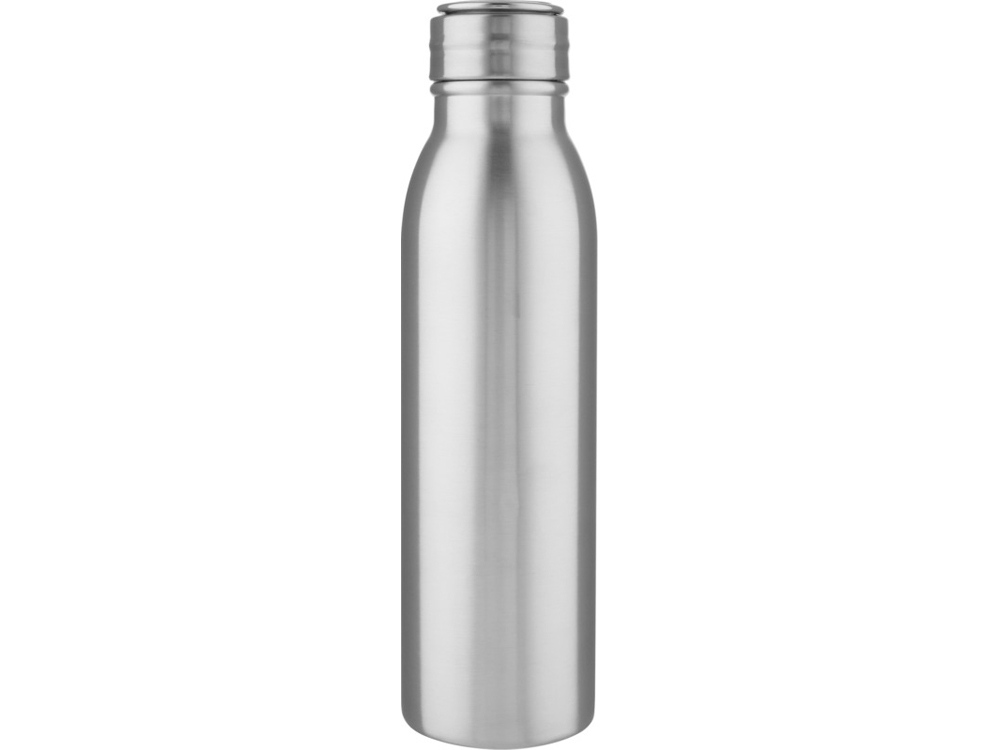 Harper, спортивная бутылка из нержавеющей стали объемом 700 мл с металлической петлей, серебристый — изображение 2