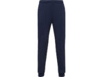 Брюки спортивные Rodas мужские, синий нэйви