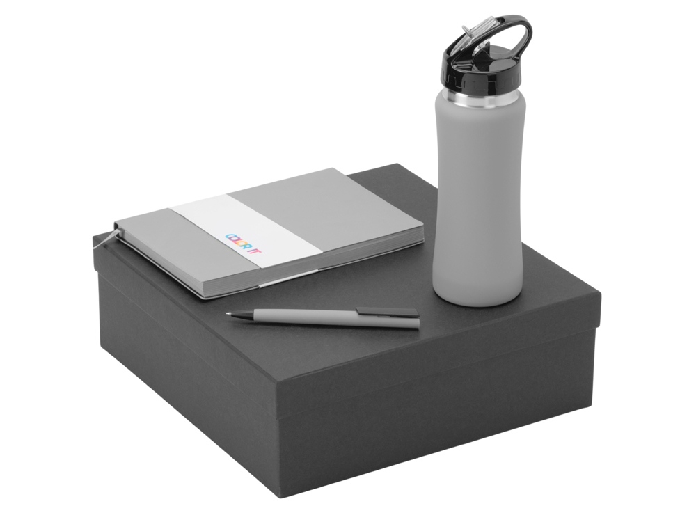 Подарочный набор c блокнотом C1, ручкой и бутылкой, серый