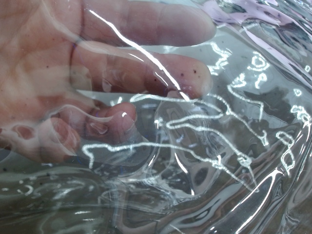 Сумка Frank из прозрачного пластика с регулирующейся лямкой, черный (P) — изображение 7