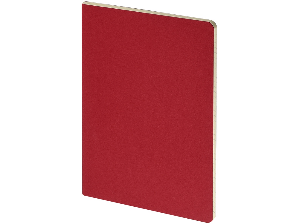 Бизнес-тетрадь А4 Pragmatic, 40л., клетка, красный