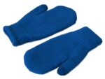 Варежки Dunant, классический синий