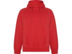 Толстовка с капюшоном Vinson, красный