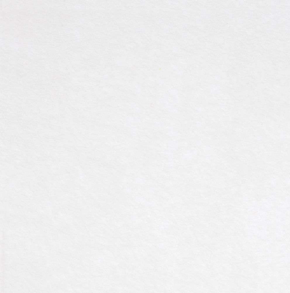 Заготовка из фетра Felt 600, белая